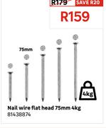 Nail Wire Flat Head 75mm 4Kg 81438874