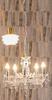 Eurolux Odile 5 Light Acrylic Chandelier Clear 555130