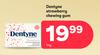Dentyne Strawberry Chewing Gum-14g
