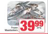 Frozen Maasbankers-Per Kg