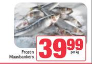 Frozen Maasbankers-Per Kg