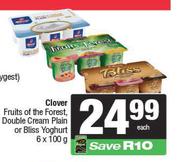 Clover Fruits Of The Forest Double Cream Plain Or Bliss Yoghurt-6 x 100g