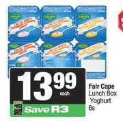 Fair Cape Lunch Box Yoghurt-6s