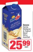 Danone DanUp Multigrain & Yoghurt Blend Assorted-950g