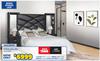Cenna Wall Bed 10303491