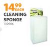 Cleaning Sponge 1110986