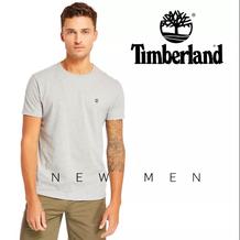 timberland cavendish square sale