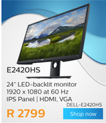 Dell 24" LED-Backlit Monitor E2420H