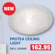 Protea Ceiling Light