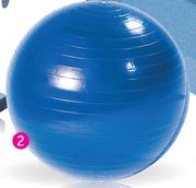 Trojan 65cm Body Ball