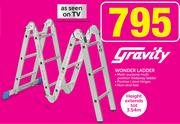 Gravity Wonder Ladder