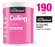 Homestead 5L Ceiling Paint-Each