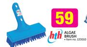 HTH Algae Brush