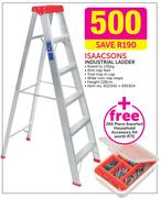 Isaacsons Industrial Ladder