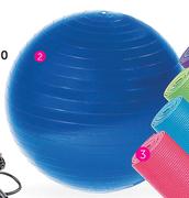Trojan 65cm Body Ball