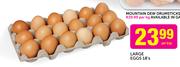 Large Eggs-18's Per Tray (Western Cape Only)
