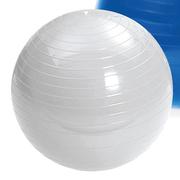 Trojan 65cm Silver Burst Resistant Body Balls-Each