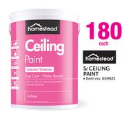 Homestead 5Ltr Ceiling Paint