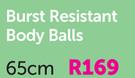 Trojan Burst Resistant Body Balls 65cm