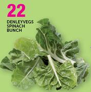 Denleyvegs Spinach Bunch