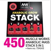 USN Muscle Works Anabolic Mass Stack 5 In 1