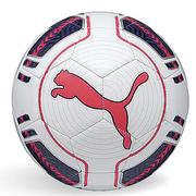 Puma Evo Force Deal Ball
