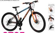 Raleigh 29" Ascent Mountain Bike