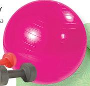 Body Ball-65cm Each