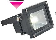 Eurolux 10W LED Floodlight
