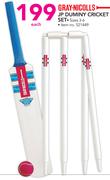 Gray Nicholls JP Duminy Cricket Set-Each