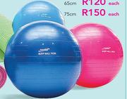 Trojan 75cm Standard Body Balls-Each