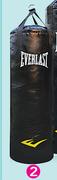 Everlast Large Punching Bag