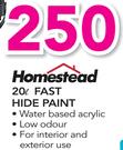 Homestead 20Ltr Fast Hide Paint