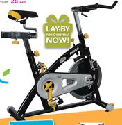 Everlast Peleton Spinner