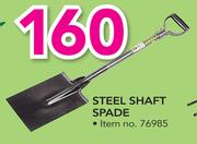 Lasher Steel Shaft Spade