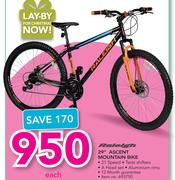 Raleigh 29" Ascent Mountain Bike