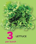 Lettuce-Per Bunch