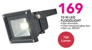 Eurolux 10W LED Flood Light