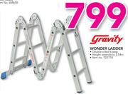 Gravity Wonder Ladder