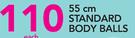 Standard Body Balls 55Cm-Each