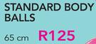 Standard Body Balls 65Cm-Each