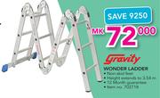 Gravity Wonder Ladder