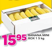 Banana Mini Box 1-5Kg