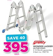 Gravity Wonder Ladder KL17338 CONV