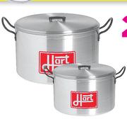 Hart 21Ltr Stewpan