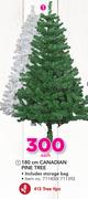 180Cm Canadian Pine Tree-Each
