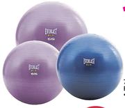 Everlast 55Cm Anti Burst Ball-Each