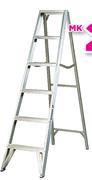 Gravity Multi Purpose Ladder