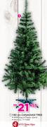 Santa's Trading 180Cm Canadian Tree