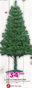 Santa's Trading 210Cm Canadian Tree
